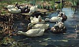 Alexander Koester Ducks in a Quiet Pool painting